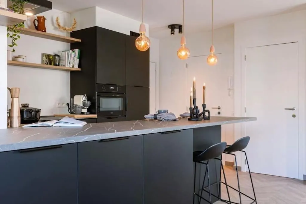 Comfortabel Appartement In Centrum Vlakbij Strand Ostend Apartment